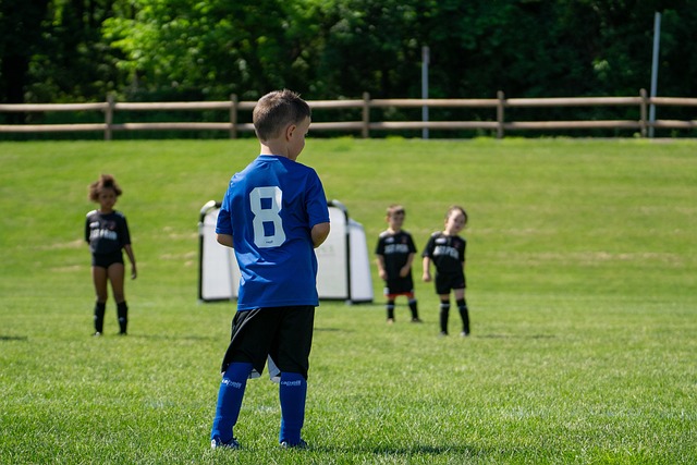 以成功案例 以成功案例