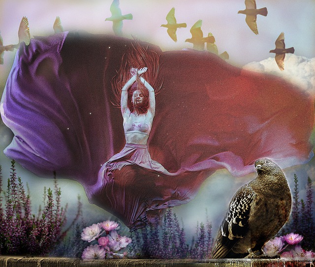 功于球星的 功于球星的