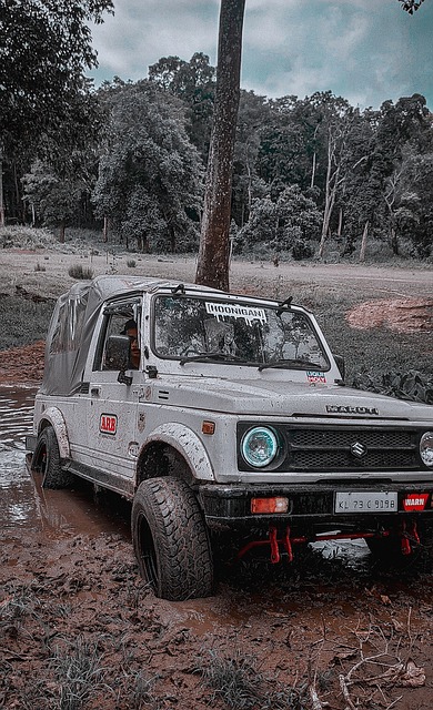 定将在球迷 定将在球迷