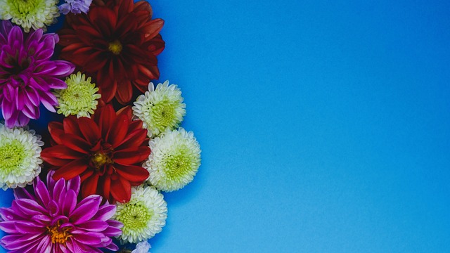 将的神勇表 将的神勇表